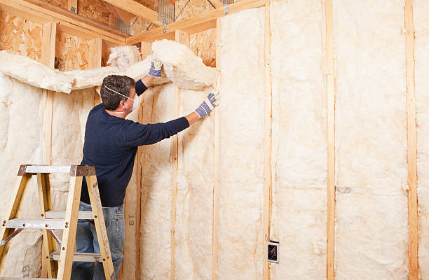 Best Wall Insulation Installation  in Leon, IA